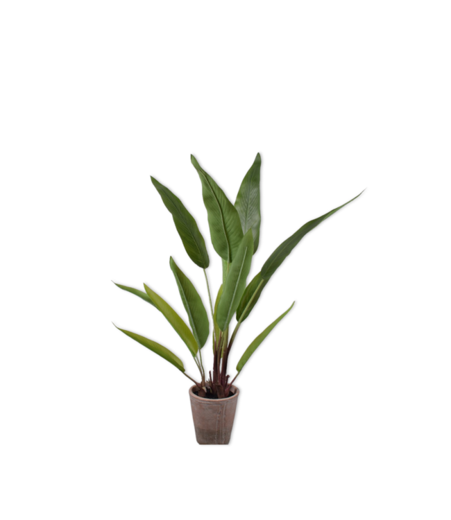 Banaan plant groen - 91cm - 156082