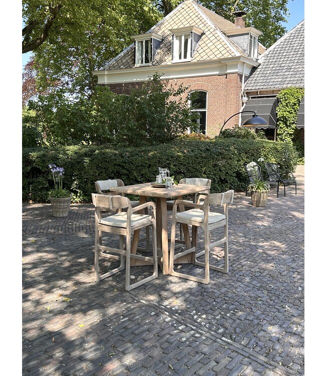 Rugkussen barchair Sally  BLU02 - Outdoor