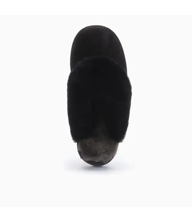 Warmbat Flurry - Plateau Black