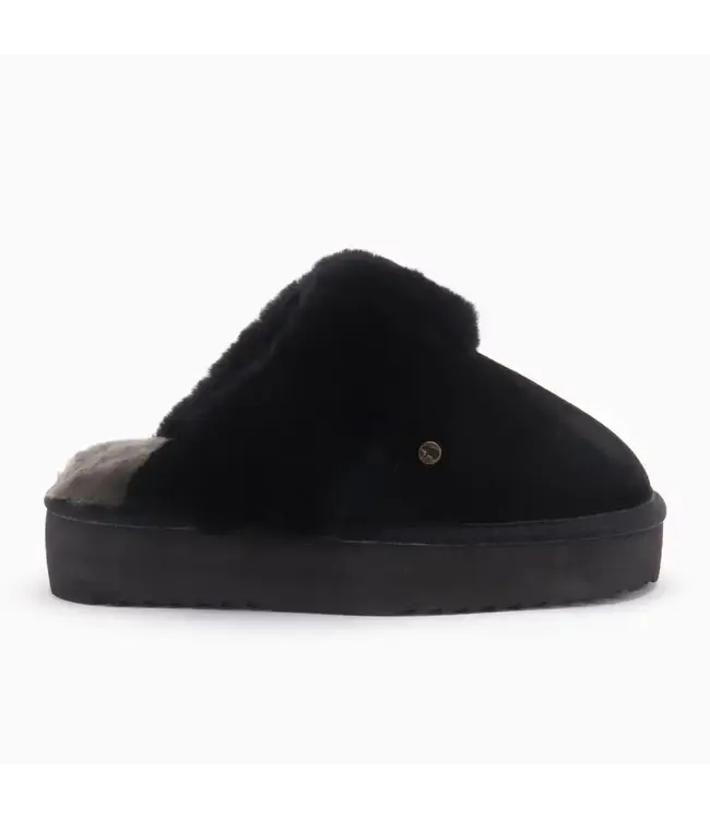 Warmbat Flurry - Plateau Black