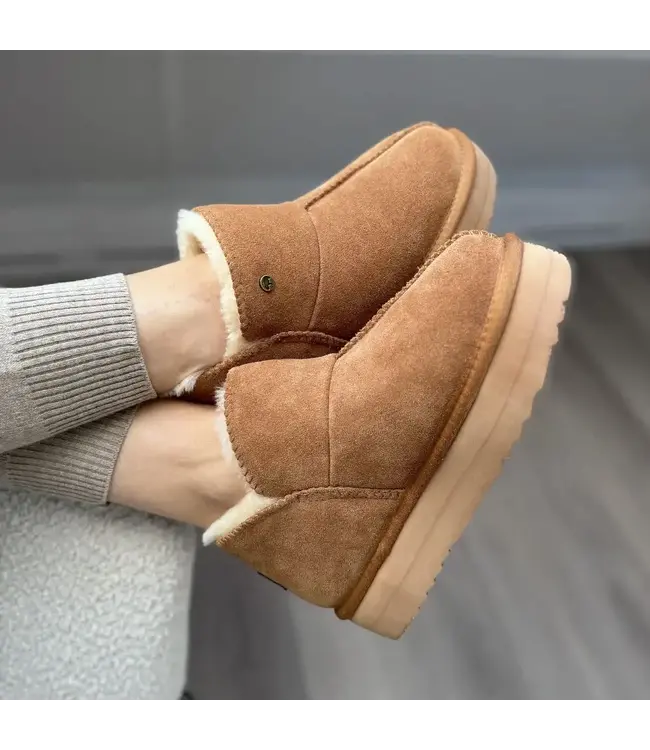 Warmbat Willow - Dames Suede - Plateau - Cognac