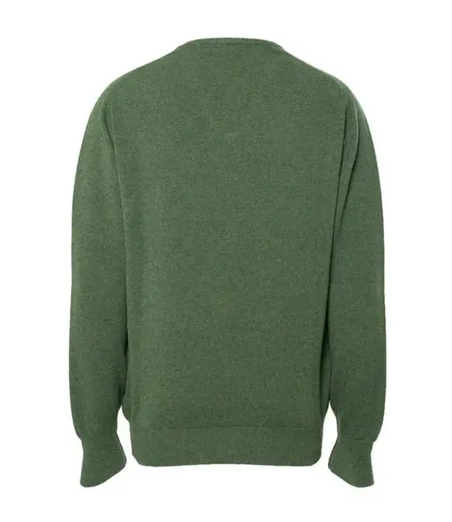 Trui lamswol V-hals DF - Landscape