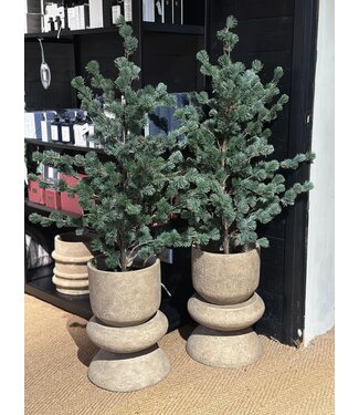 't Swarte Schaep Kerstboompje Larix 120 cm