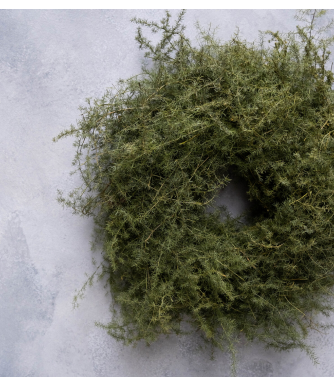 Asparagus Krans - 60cm