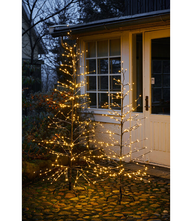 Kerstboom Isaac - H1.6m