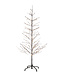 Kerstboom Isaac - H2.1m