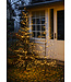 Kerstboom Isaac - H2.1m