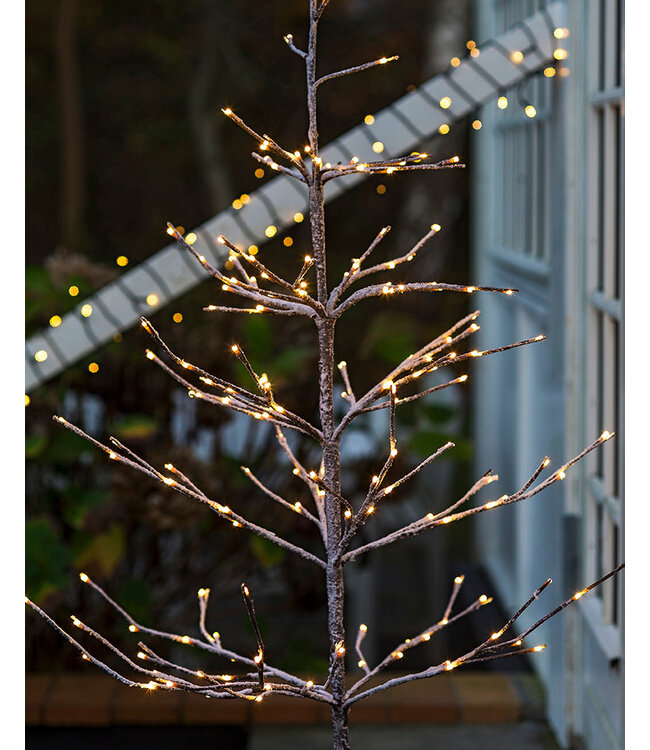 Kerstboom Alex - H90cm
