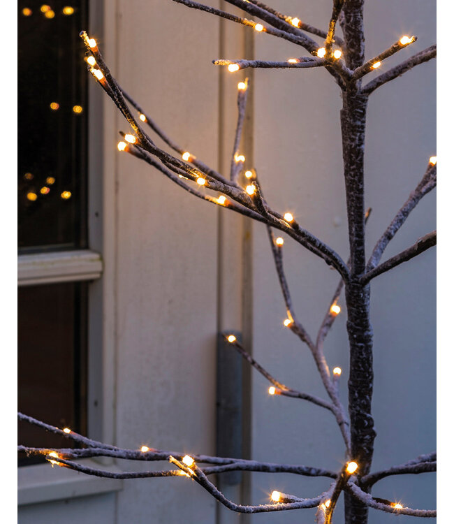 Kerstboom Alex - H90cm