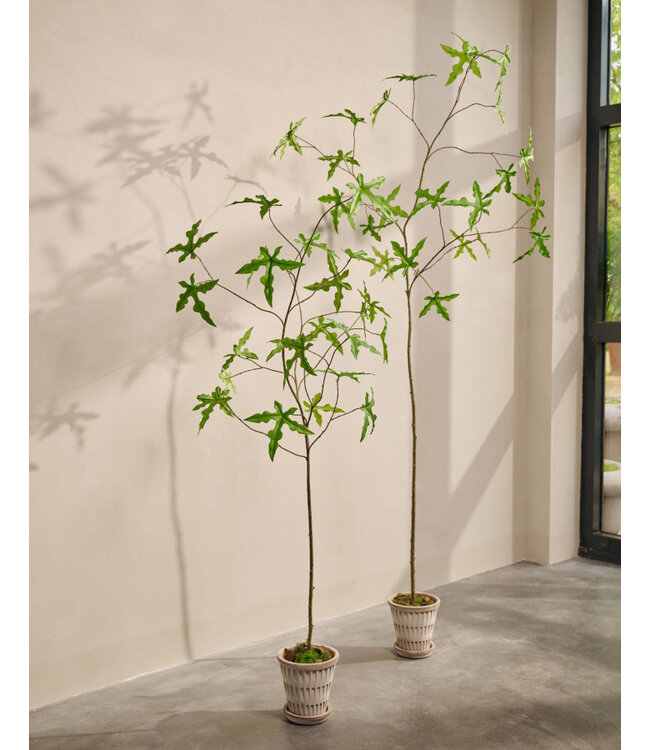 Silk-ka Schefflera zijdeplant in pot groen 293 cm - 160663