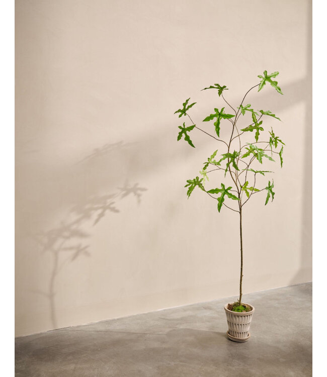 Silk-ka Schefflera zijdeplant in pot groen 293 cm - 160663