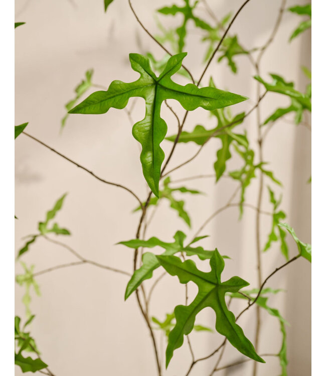 Silk-ka Schefflera zijdeplant in pot groen 293 cm - 160663