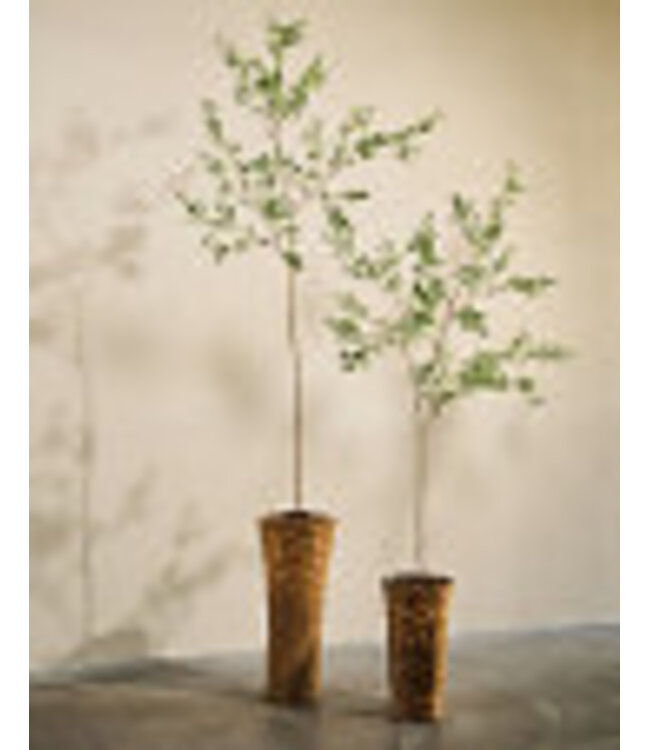 Silk-ka Olijf zijdeplant in pot groen 234 cm - 160667