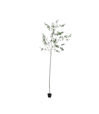 Silk-ka Silk-ka - Olijf in pot groen 298 cm