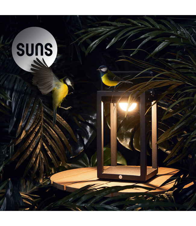 Mr. Solar Jack - S - Slate brown