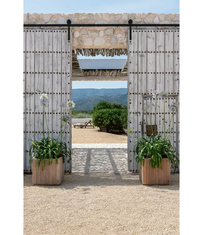 Gommaire Planter Nora Large - Teak Natural Grey