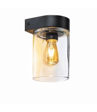Royal Botania Tesla Wall lamp | Anthracite | Clear glass