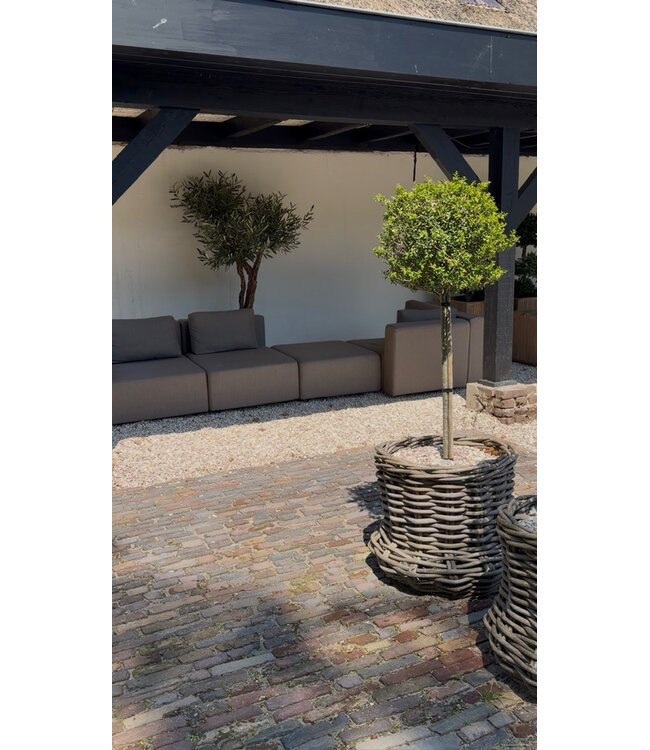 Showmodel | BRYCK NOMA modulaire outdoor loungebank