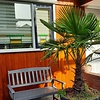 Douglas channelsiding - 21x115 mm - geschaafd - channel siding - douglashout KD 18-20%