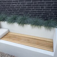 Custom photo 2