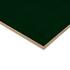 Betonplex berken - groen - 9 mm dik - berken betontriplex plaat - Trimaform