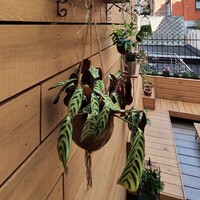 Custom photo 3