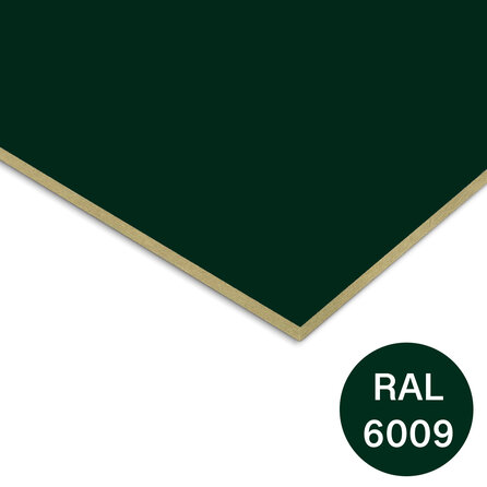 Rockpanel colours - donkergroen (RAL 6009) - 6 mm dik - groene brandwerende gevelplaat - garantieplaat 10 jaar