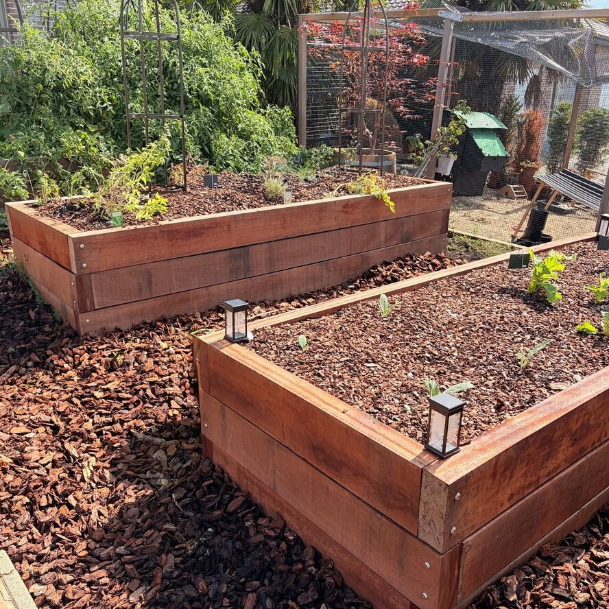 Angelim vermelho balk - 80x200 mm - ruw / fijnbezaagd - balk voor buiten - angelim vermelho hardhout AD 20-25% Angelim vermelho balk - 80x200 mm - ruw / fijnbezaagd - balk voor buiten - angelim vermelho hardhout AD 20-25%
