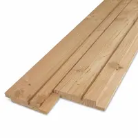 Douglas dubbel blokprofiel (70/30) - 21x125 mm - geschaafd - KD
