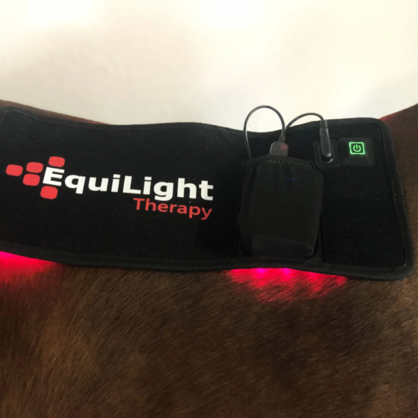 EquiLight Therapy Denmark Red Light Therapy for humans, horses and dogs