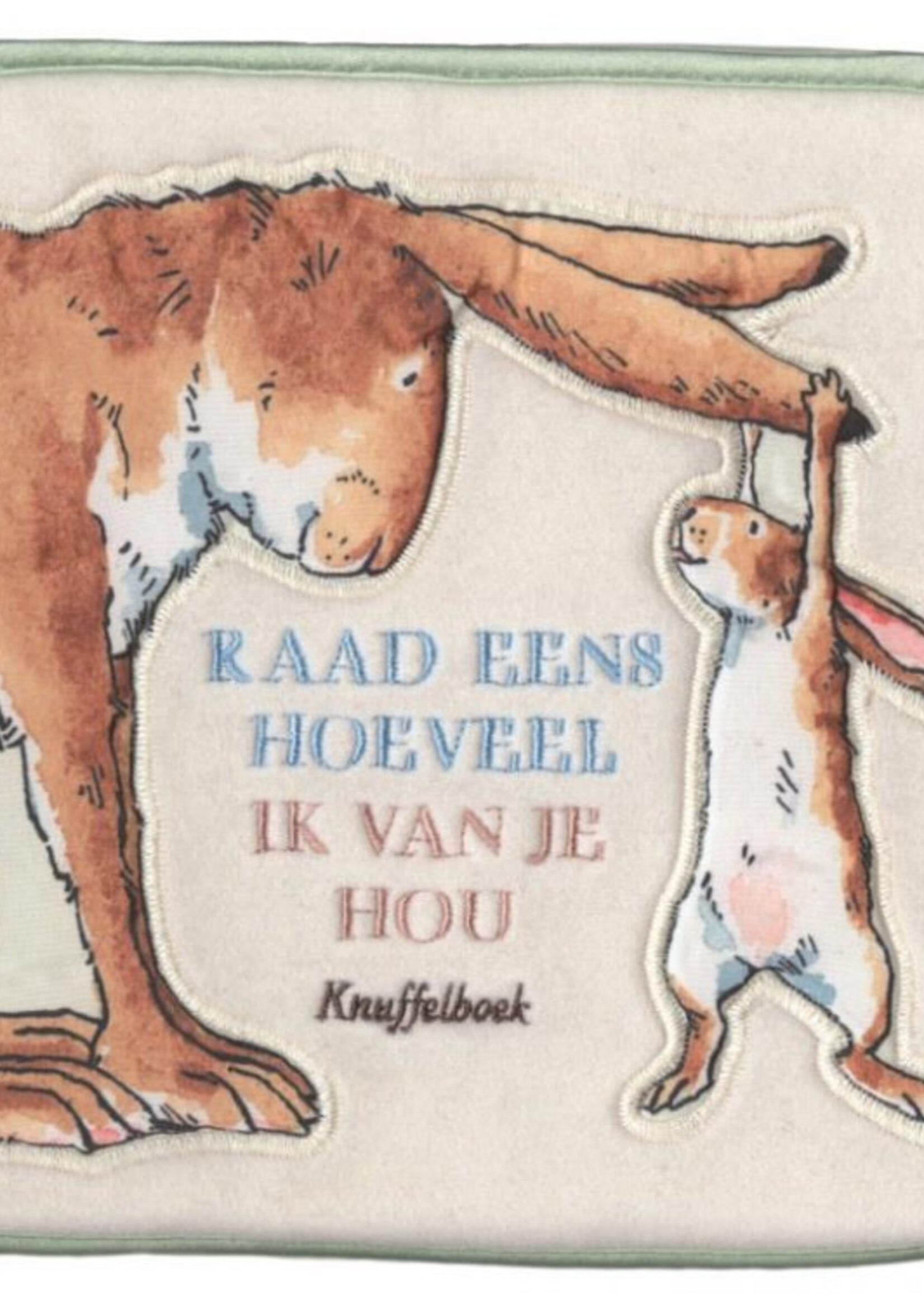 Lemniscaat Raad eens hoeveel ik van je hou knuffelboek
