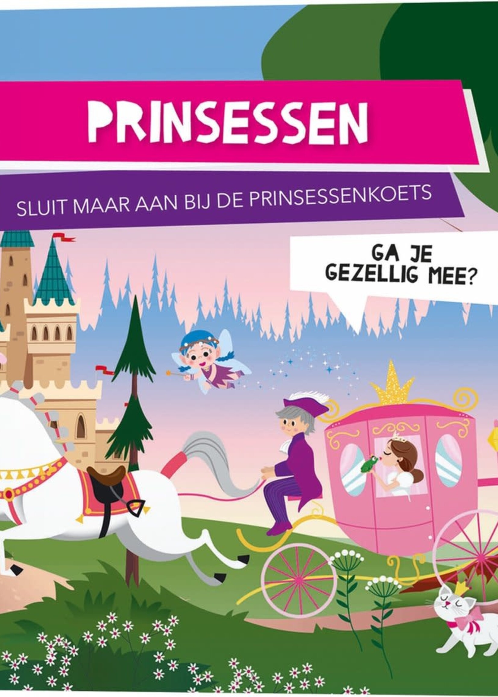 Lantaarn Boek + puzzeltrein prinsessen