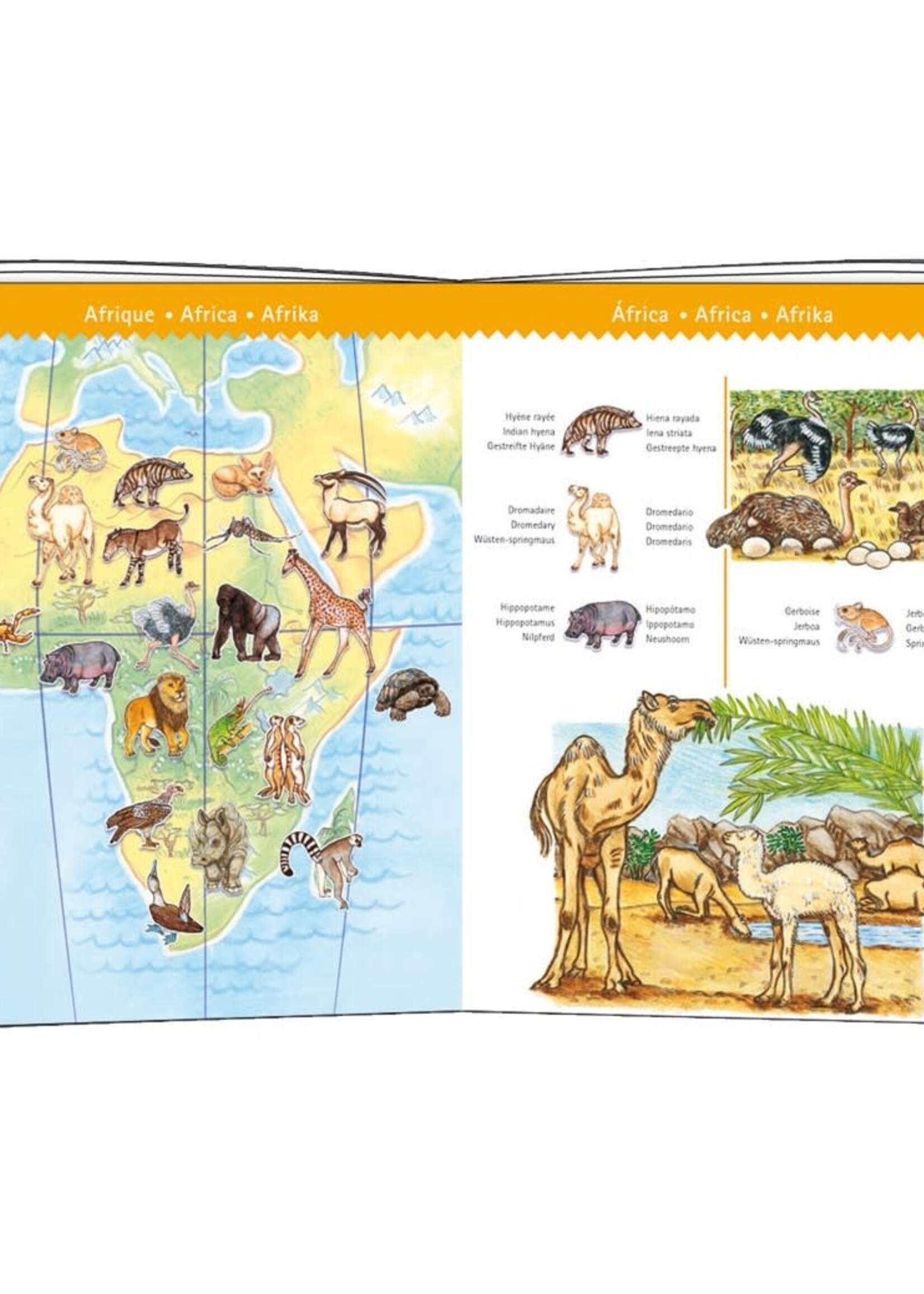 Djeco Djeco - puzzel de dieren van de wereld