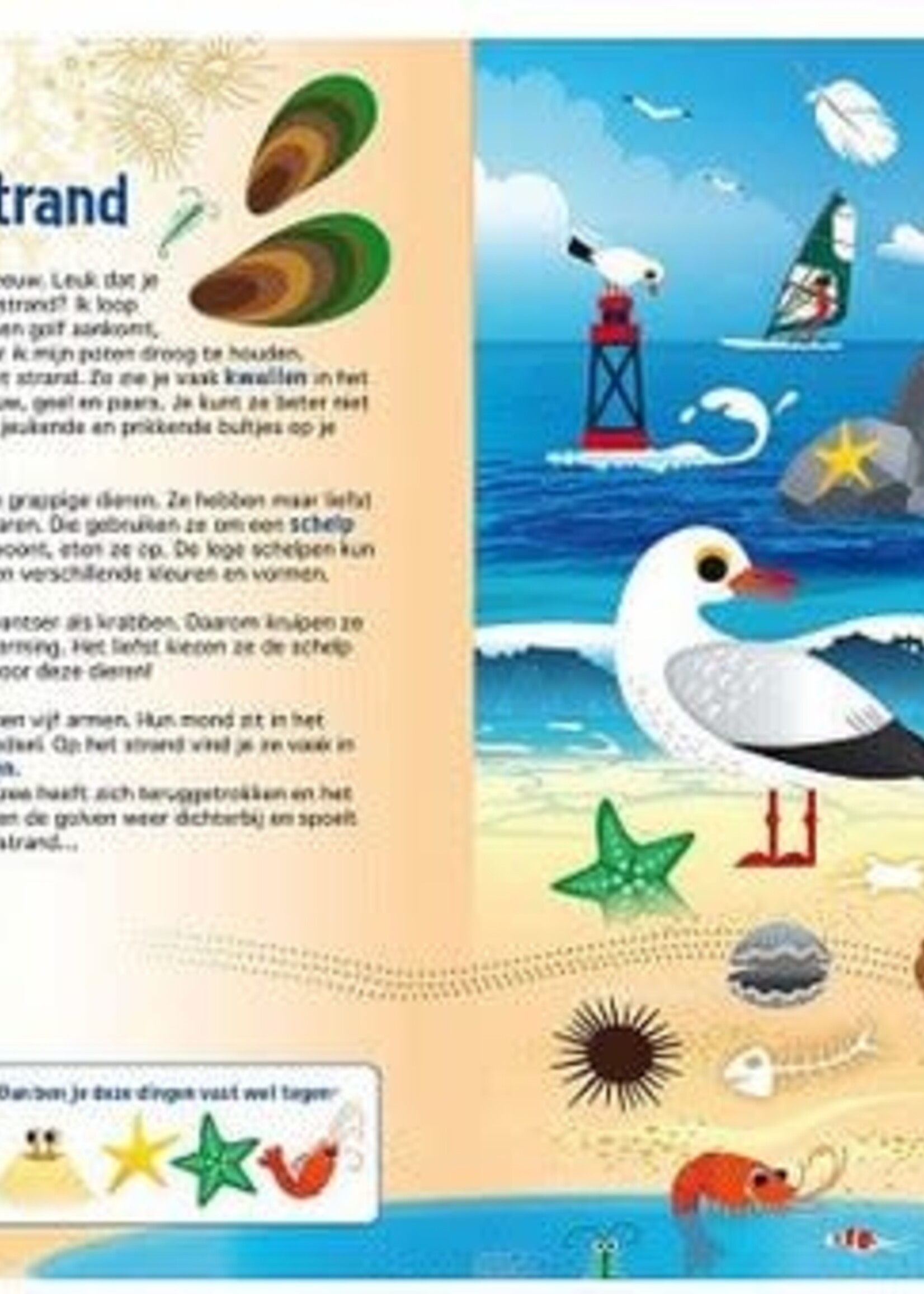 Lantaarn Lantaarn - speuren in de dierenwereld