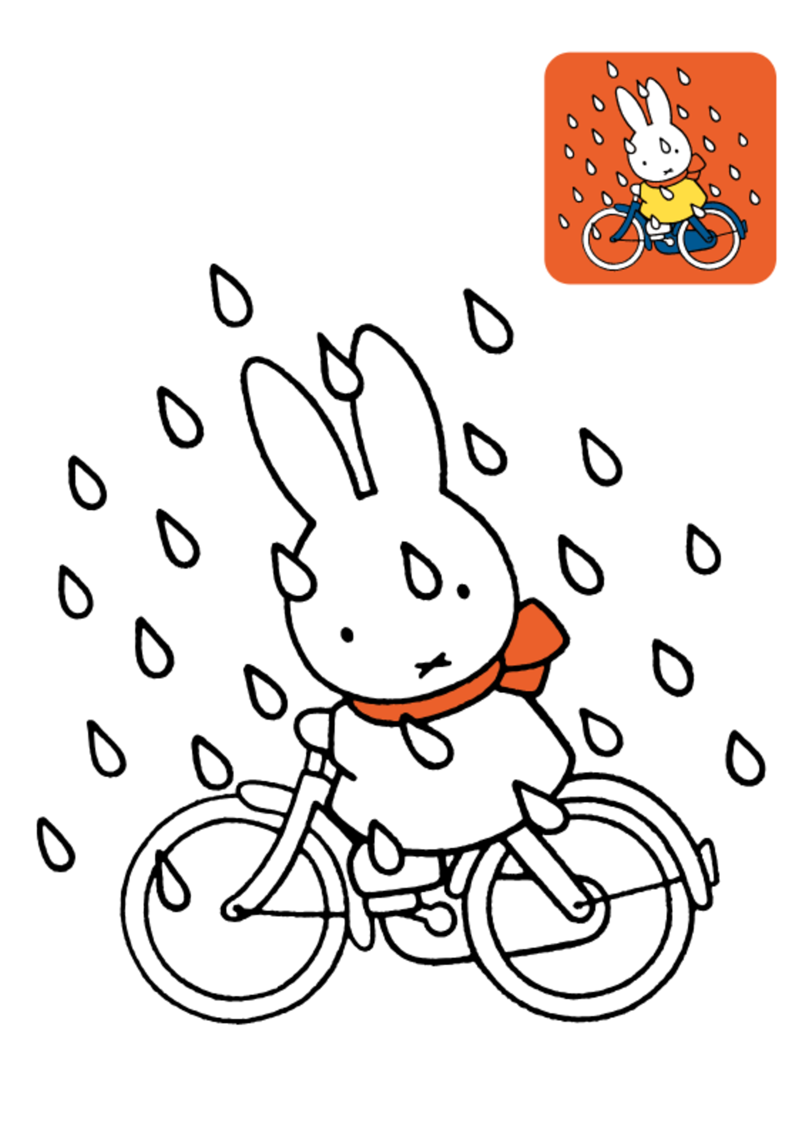 Nijntjes kleurboek 3+