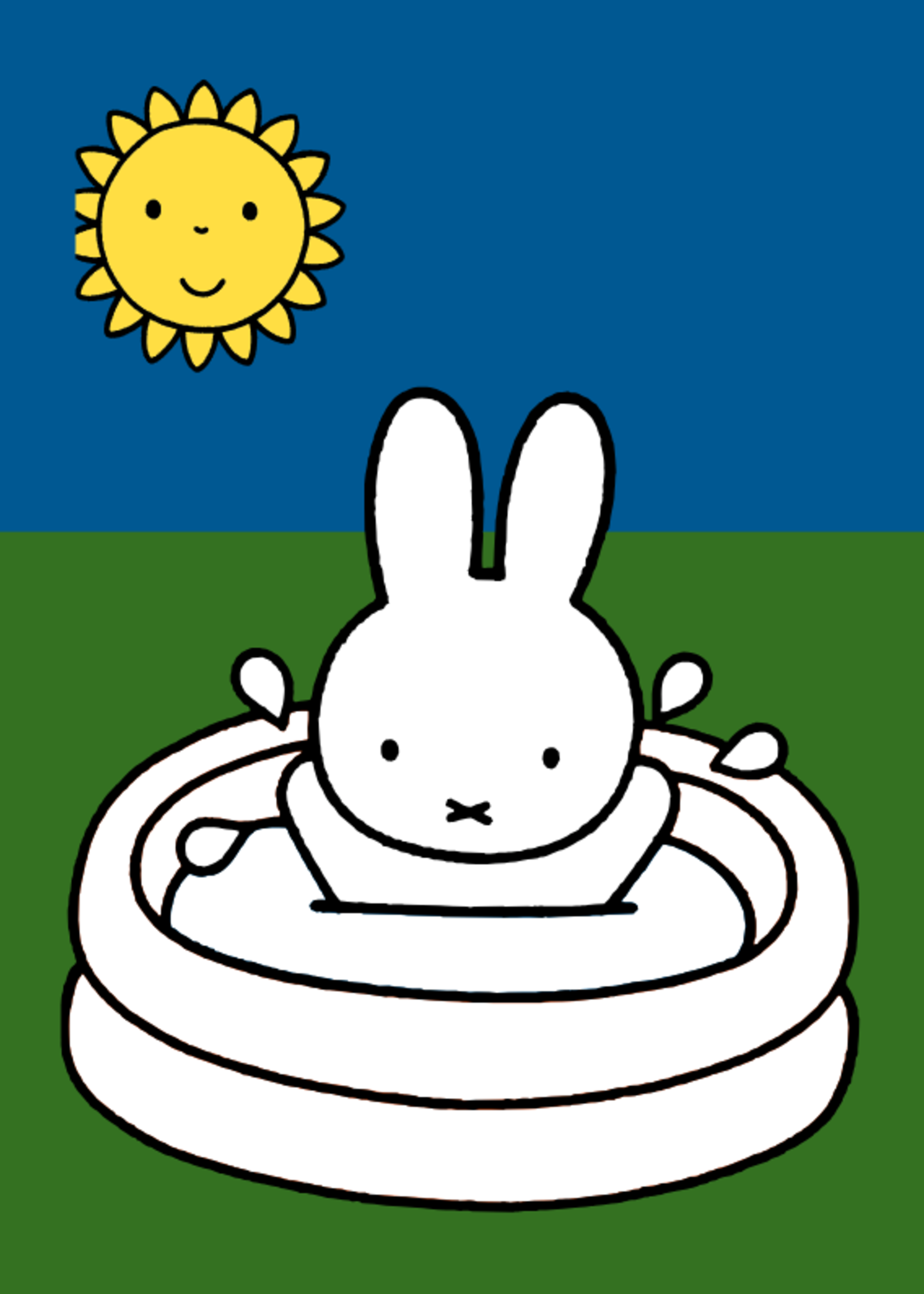 Nijntjes kleurboek 3+