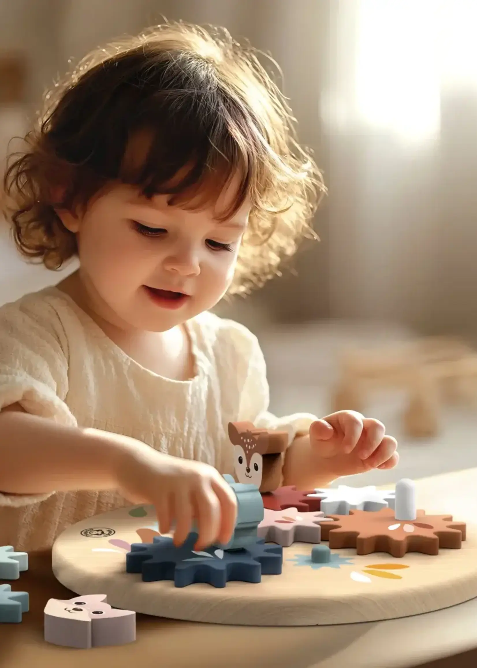 Speedy monkey Speedy monkey - Tandwielenbord