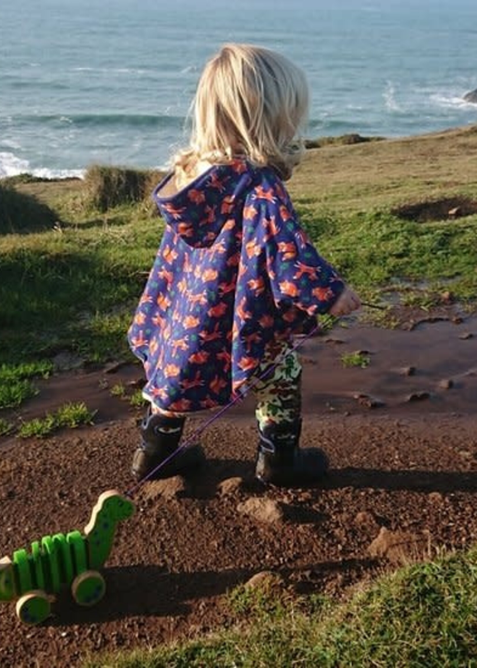 Lanka Kade Lanka kade - pull along dinosaurus