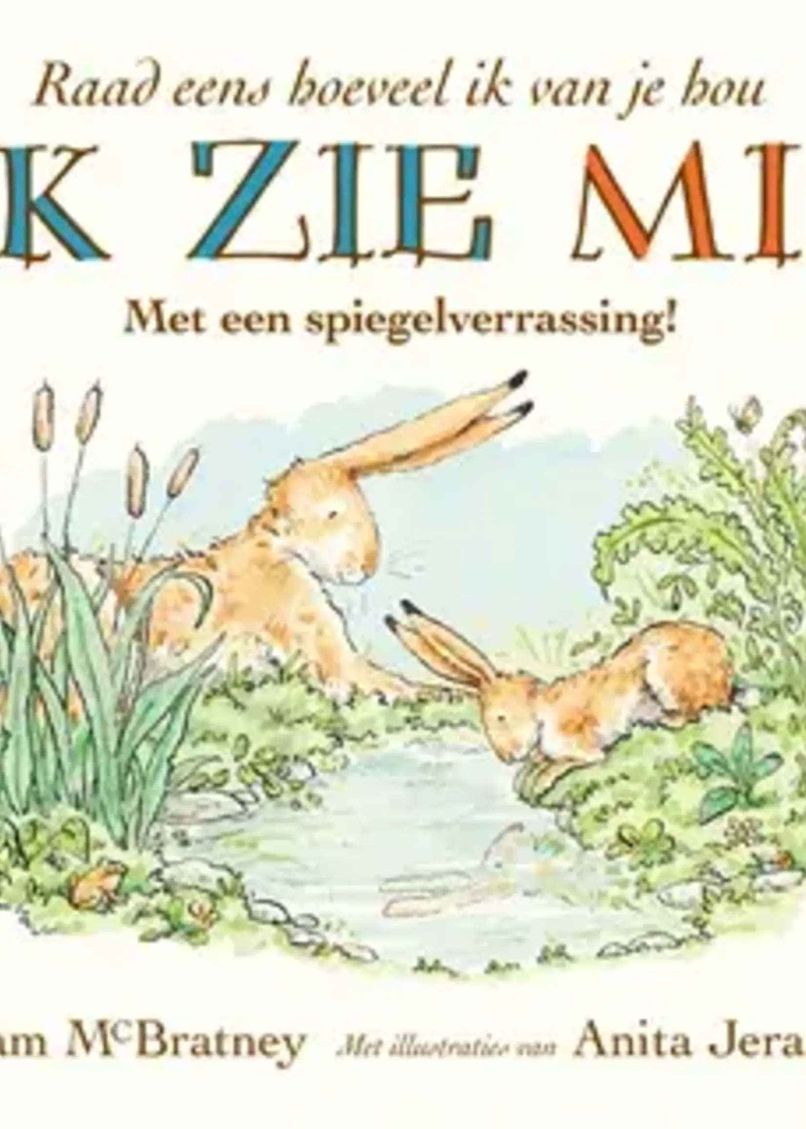 Lemniscaat Raad eens: Ik zie mij!