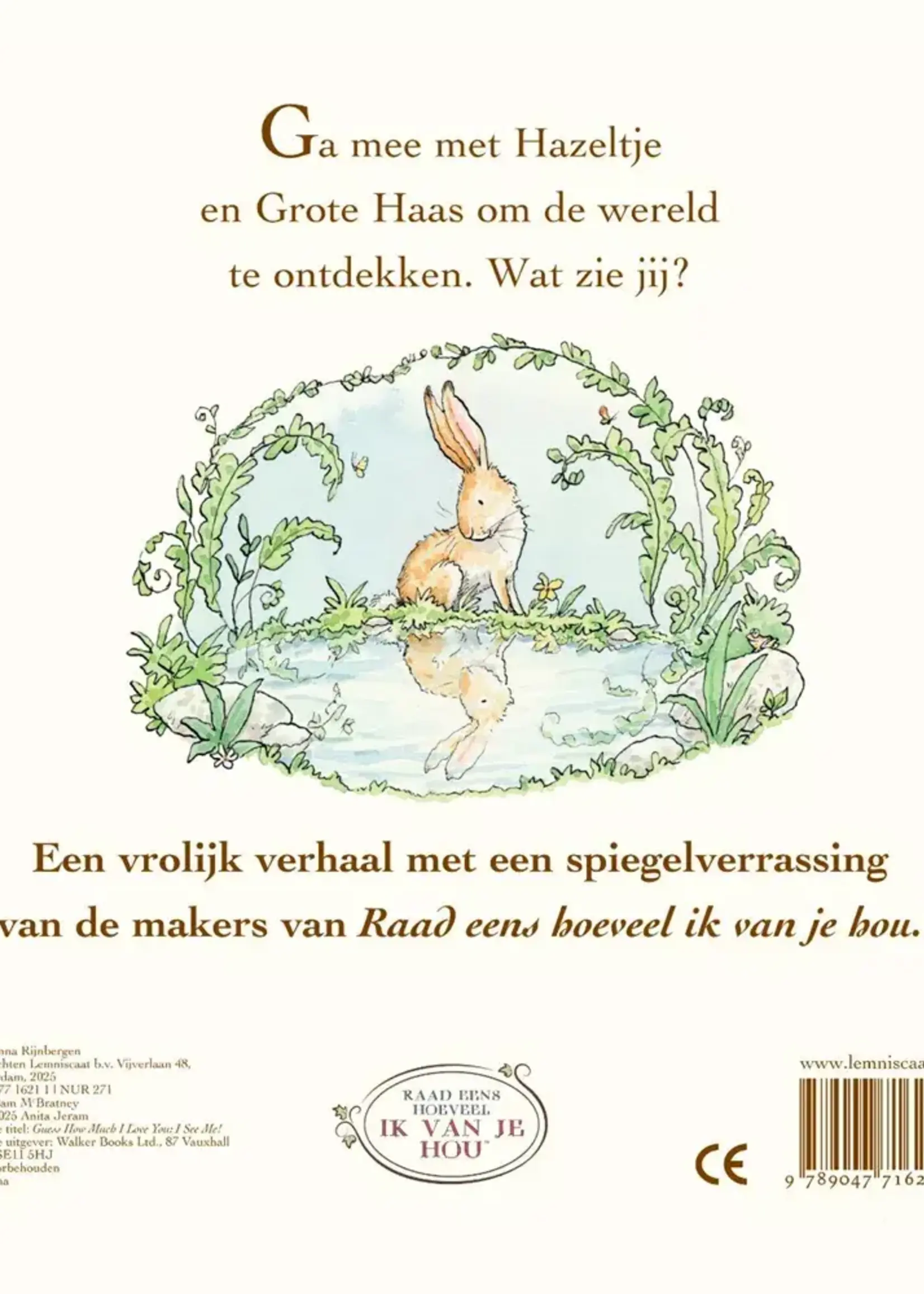 Lemniscaat Raad eens: Ik zie mij!