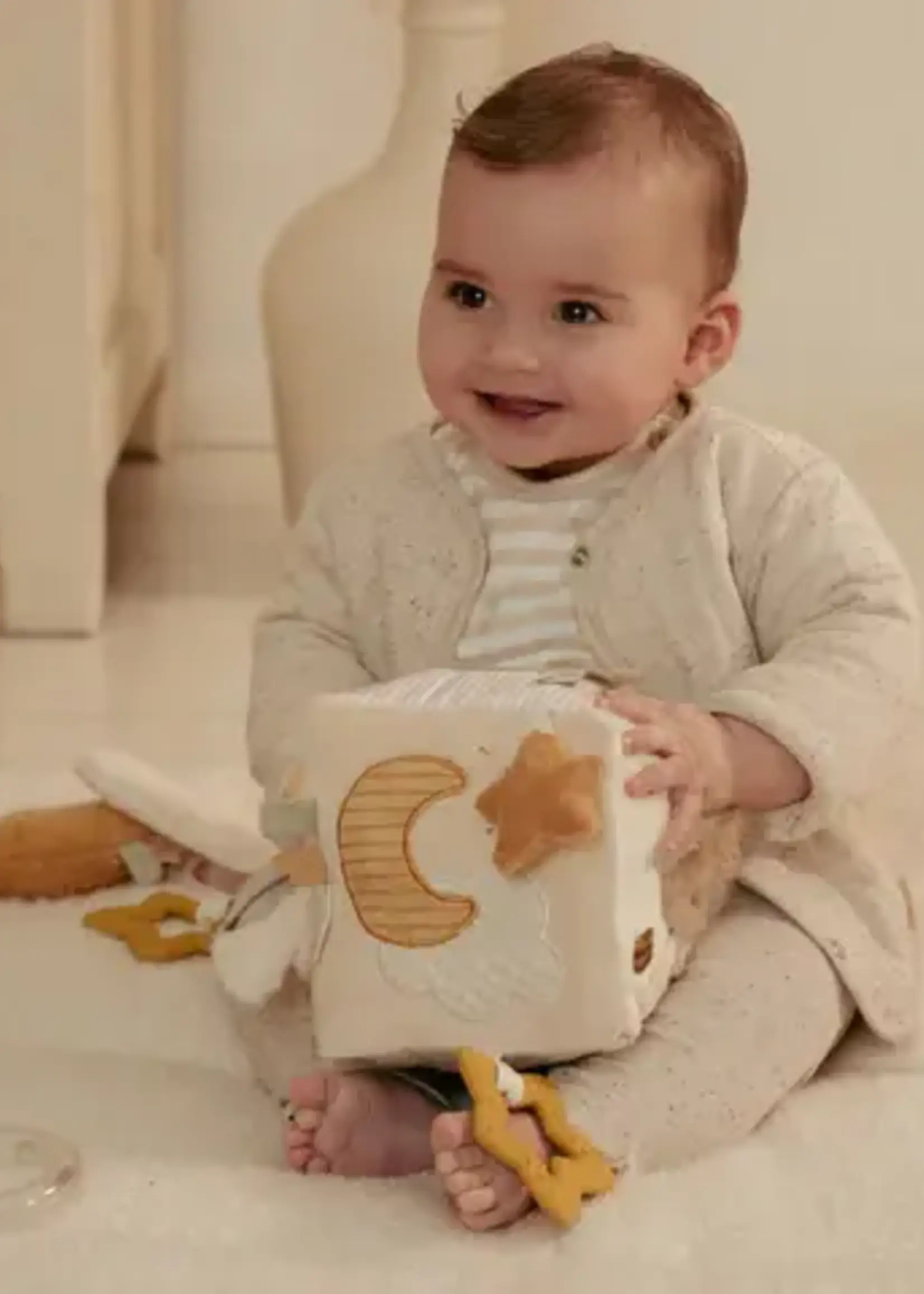 Little Dutch Little dutch - activiteiten kubes goose