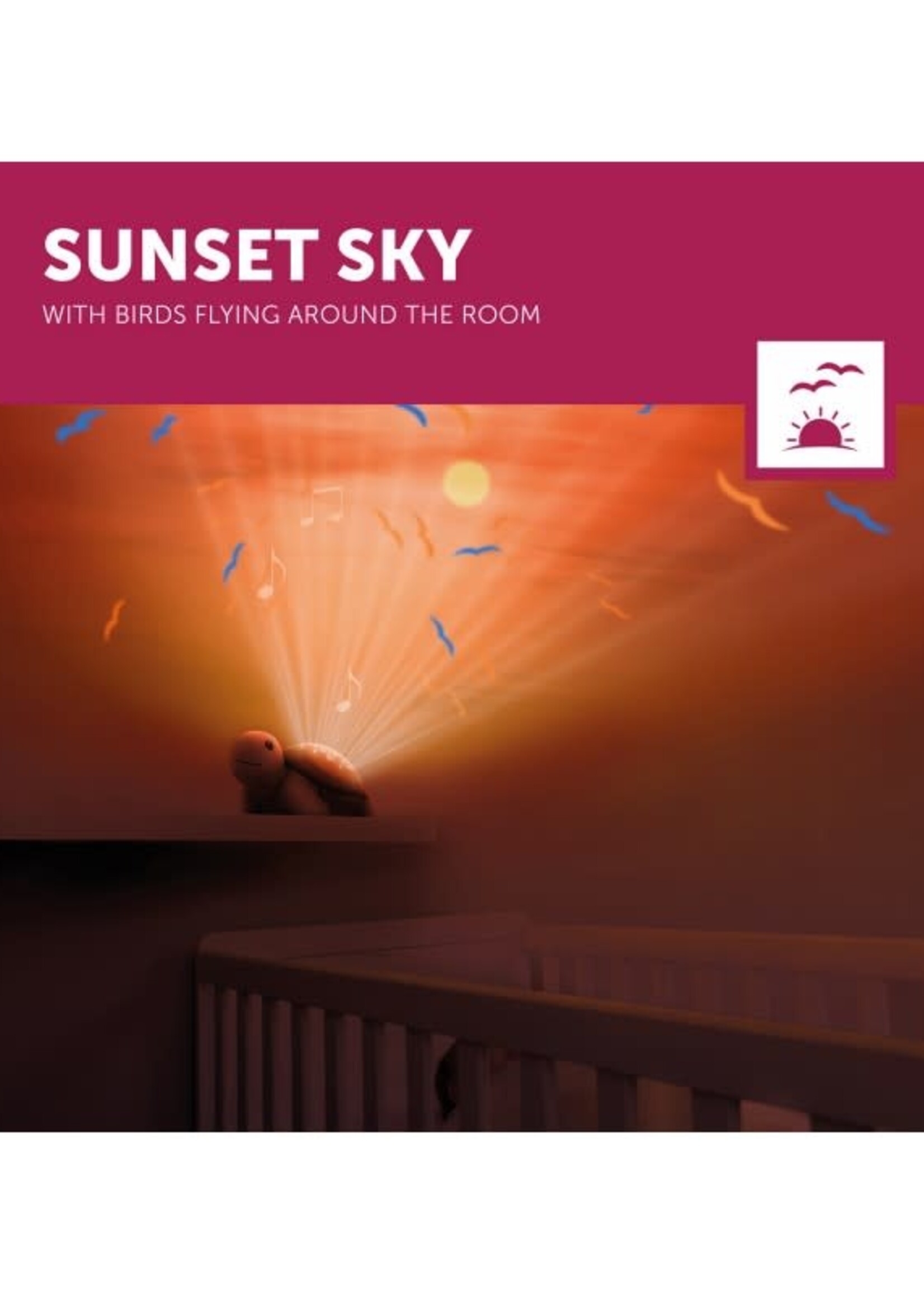 zazu ZAZU - sunset projector Tim the turtle