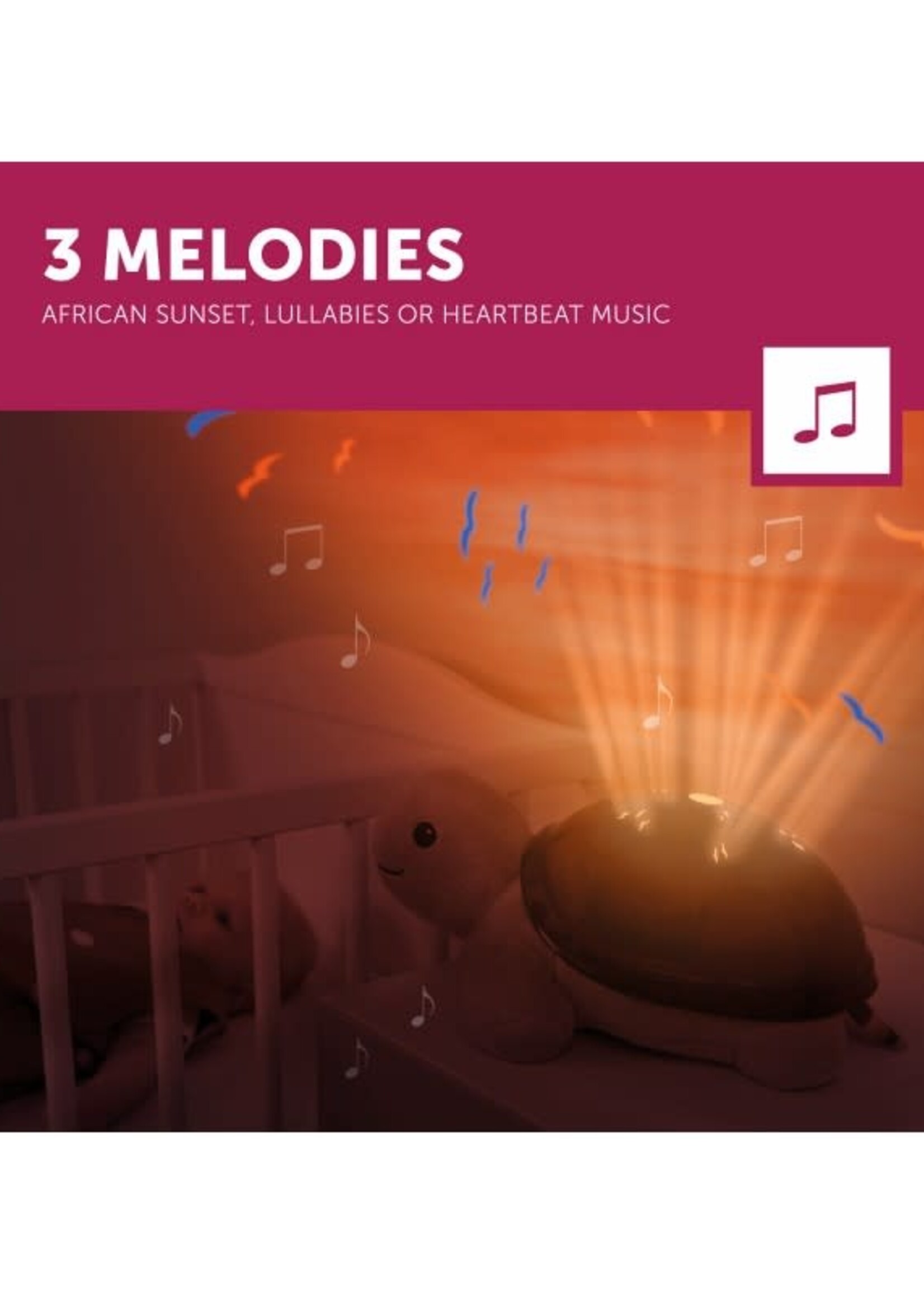 zazu ZAZU - sunset projector Timthe turtle