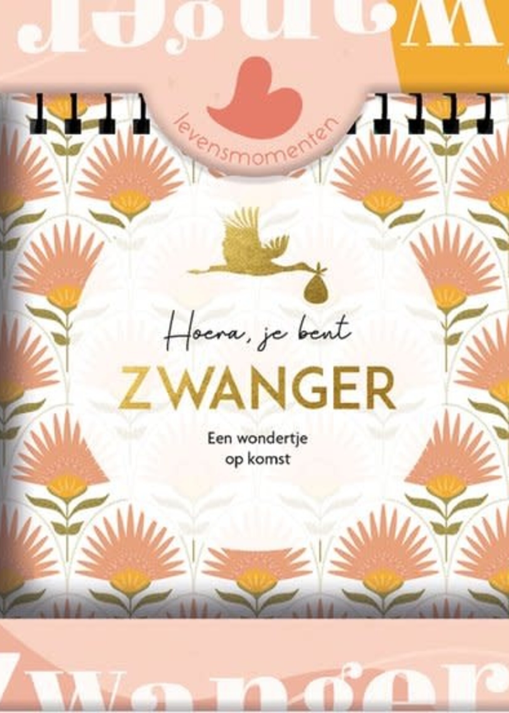 Lantaarn Lantaarn - Hoera je bent zwanger