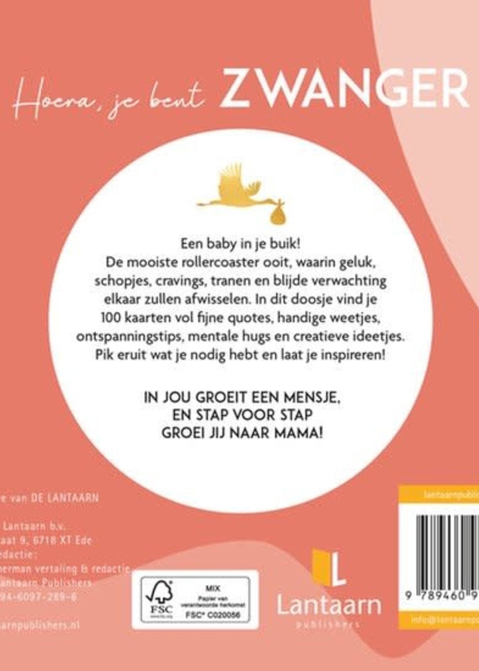 Lantaarn Lantaarn - Hoera je bent zwanger