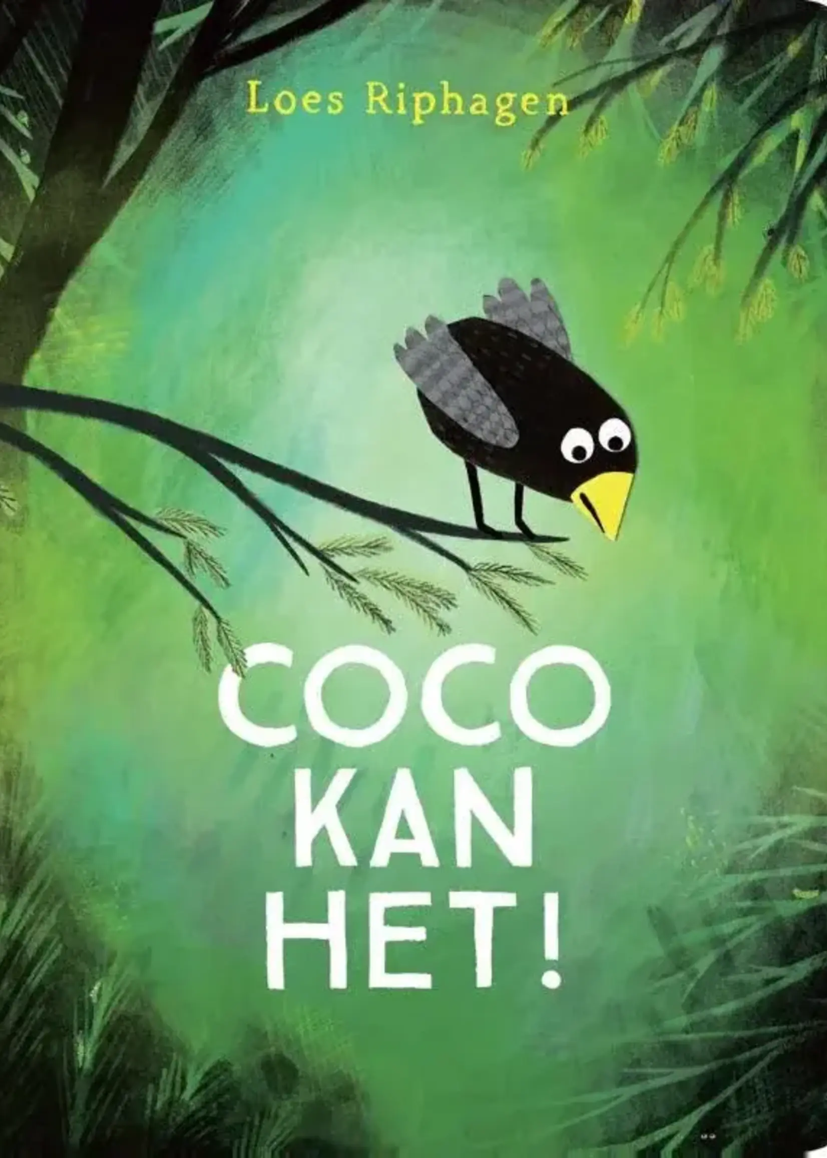 Gottmer Coco kan het! kartonboek