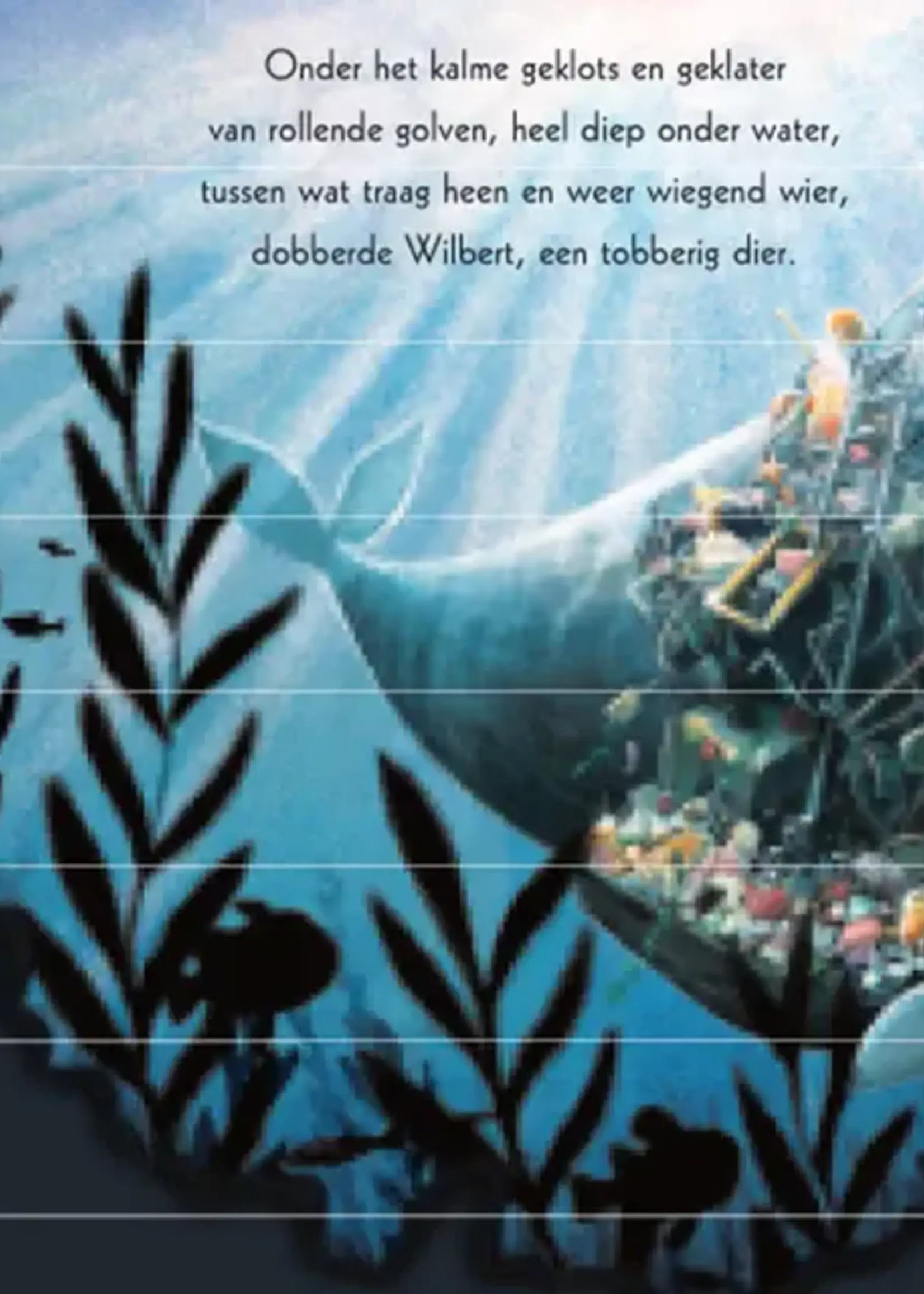 Gottmer De walvis wilde meer kartonboek