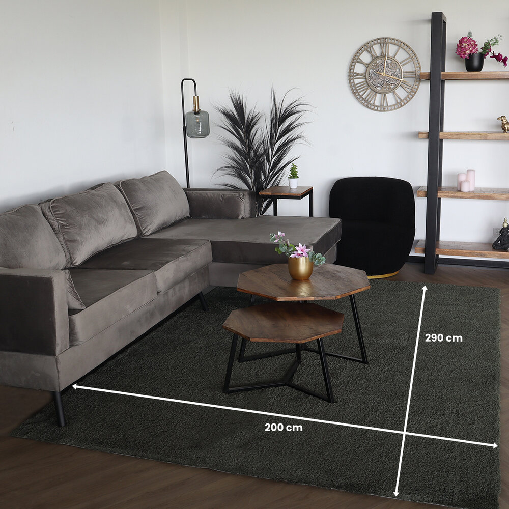 Vloerkleed 200x290cm groen hoogpolig Avelyn fluffy vloerkleed