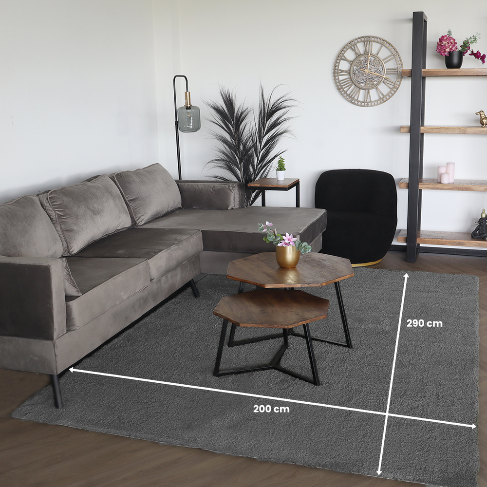 Vloerkleed 200x290cm grijs hoogpolig Darcio fluffy vloerkleed Vloerkleed 200x290cm grijs hoogpolig Darcio fluffy vloerkleed