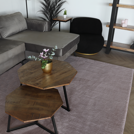 Lizzely Garden & Living Vloerkleed 200x290cm roze hoogpolig Liv fluffy vloerkleed Lizzely Garden & Living Vloerkleed 200x290cm roze hoogpolig Liv fluffy vloerkleed